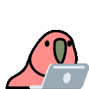 Testing this out okay by